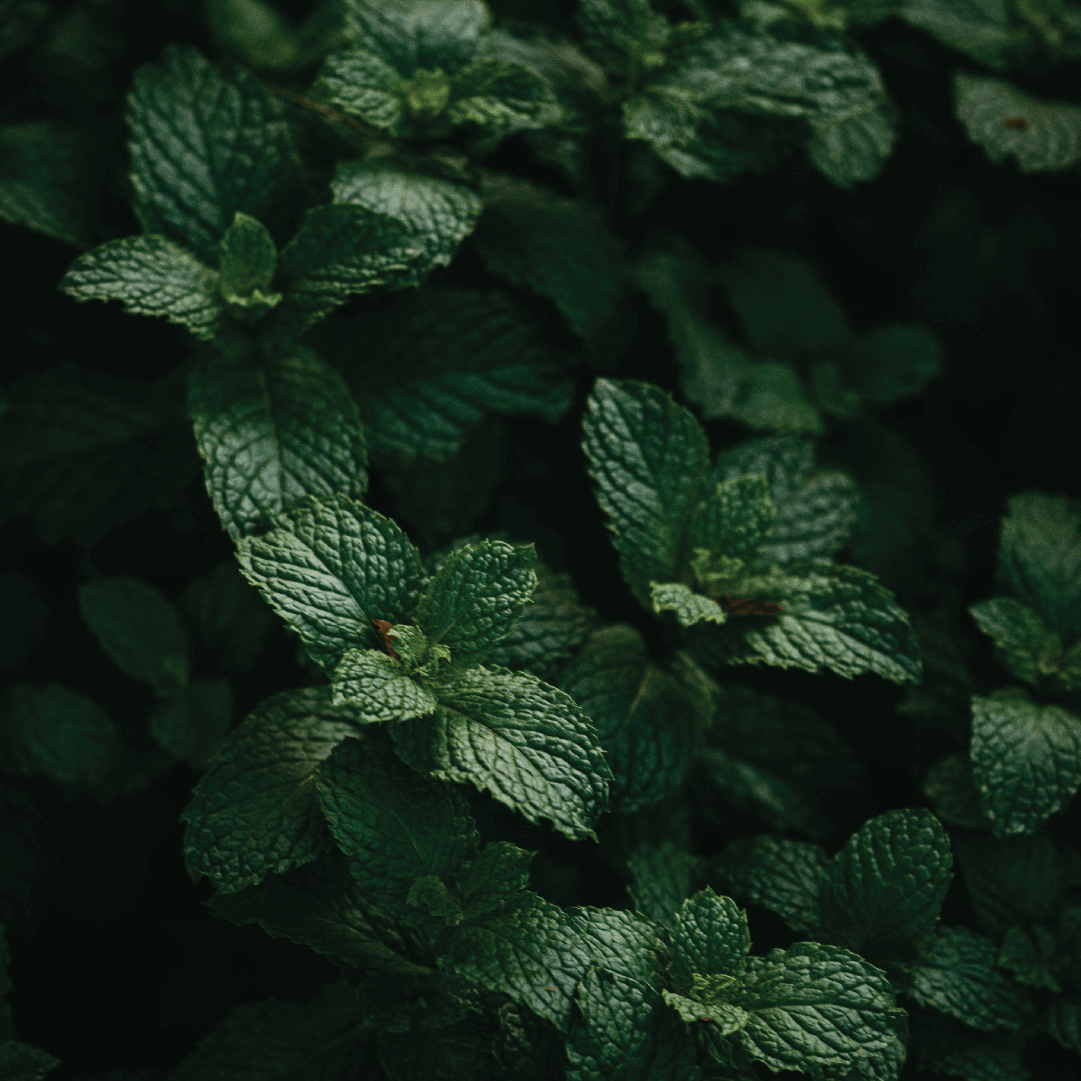 Peppermint Facial Spray